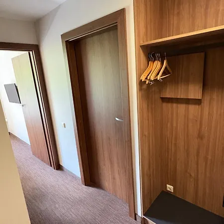 Delita Cozy 3* Druskininkai