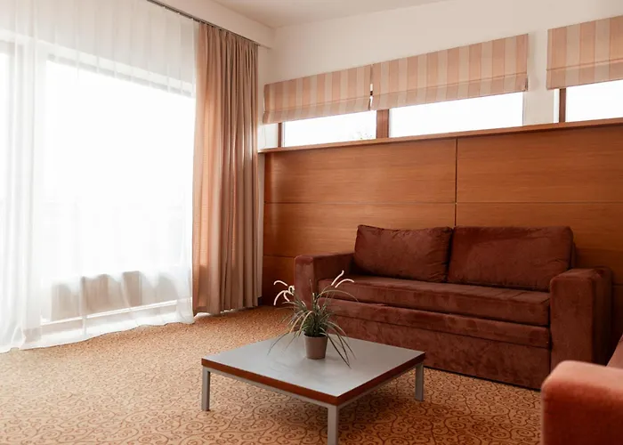 De Lita 3* Druskininkai